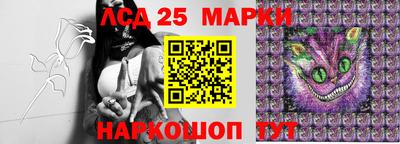 гашик Малоярославец
