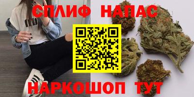 гашик Малоярославец