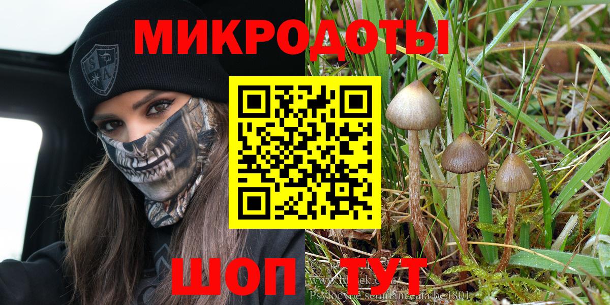 Псилоцибиновые грибы мухоморы Дербент