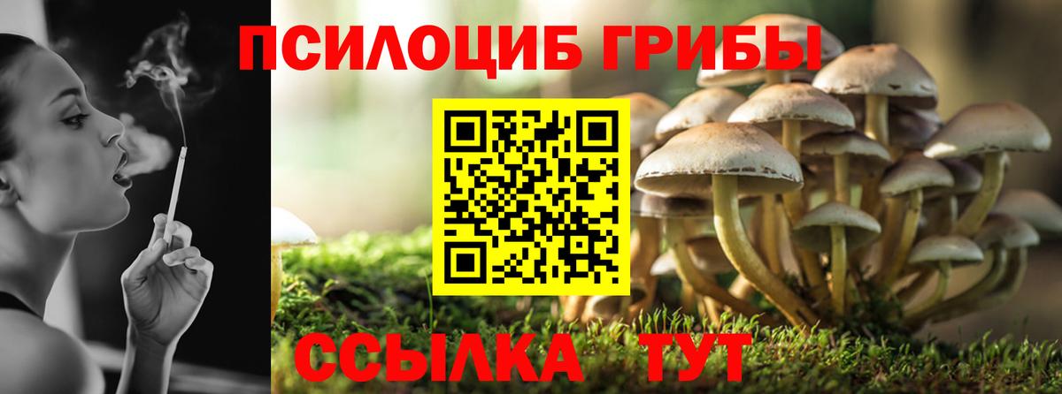 Галлюциногенные грибы мицелий  Галлюциногенные грибы ЛСД  Вход с VPN  Дербент 
